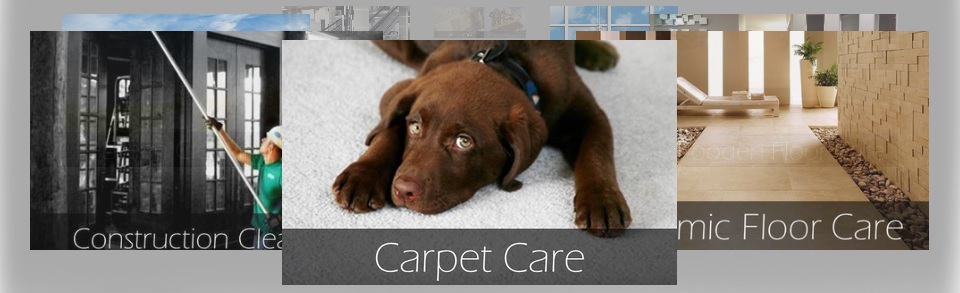 JBM Janitorial - Contact